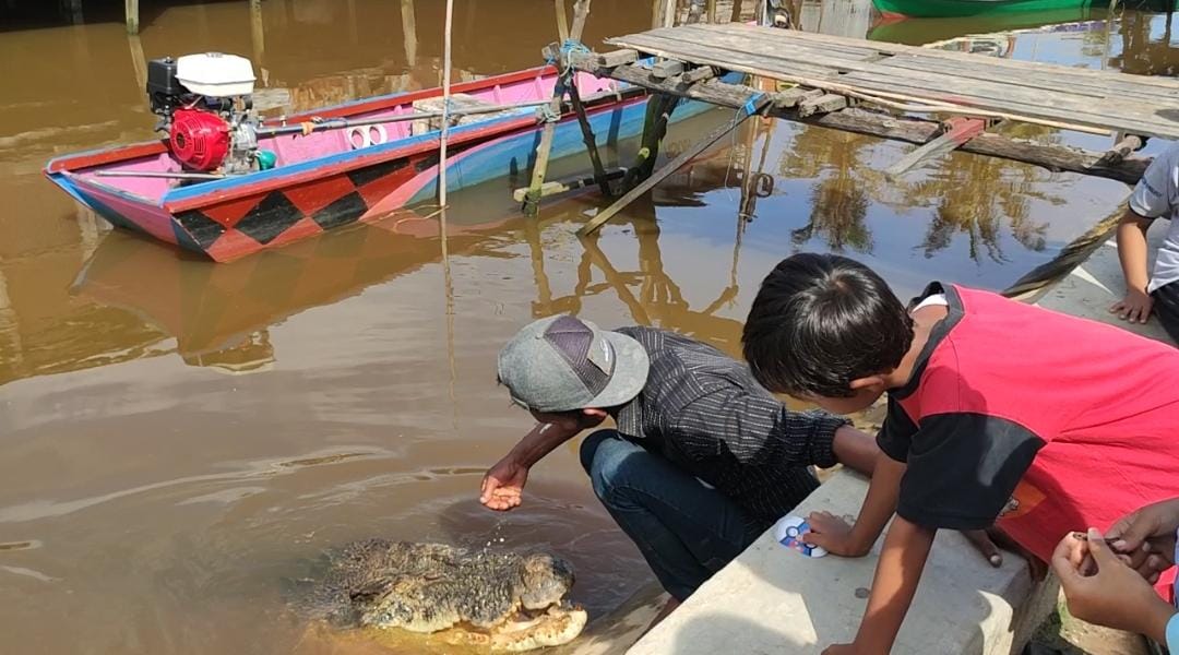 Ambo Beber Rahasia Buaya Riska Bontang, Dari Cara Ngobrol, Saudara Kembar, Hingga Hamil Tanpa Telur
