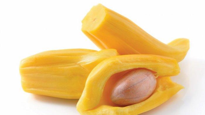 Ternyata Konsumsi Biji Nangka Bermanfaat Bagi Kesehatan, Diantaranya Bisa Membantu Proses Pencernaan