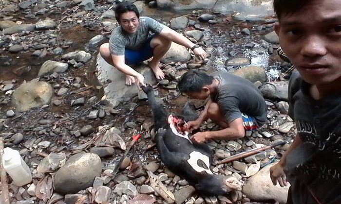 Tiga Pria Selfie Sambil Membelah Perut Beruang Madu, Satwa Langka