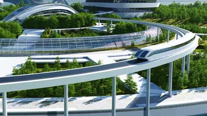 Seksi 6 Tol IKN Nusantara-Bandara VVIP Segera Lelang, Seksi 4 Ada 2 Lintasan Satwa