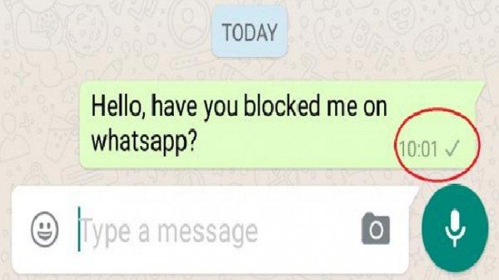 Cara Mudah Membuat Pesan WhatsApp Tetap Centang Satu Meski Sudah Dibaca