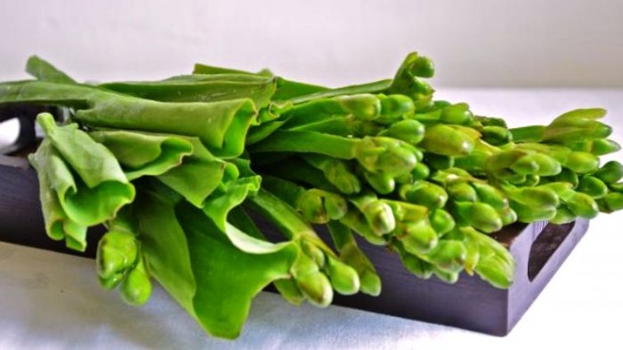 Enak dan Sarat Gizi, Inilah Fakta Sayur Genjer yang Identik dengan Lagu PKI