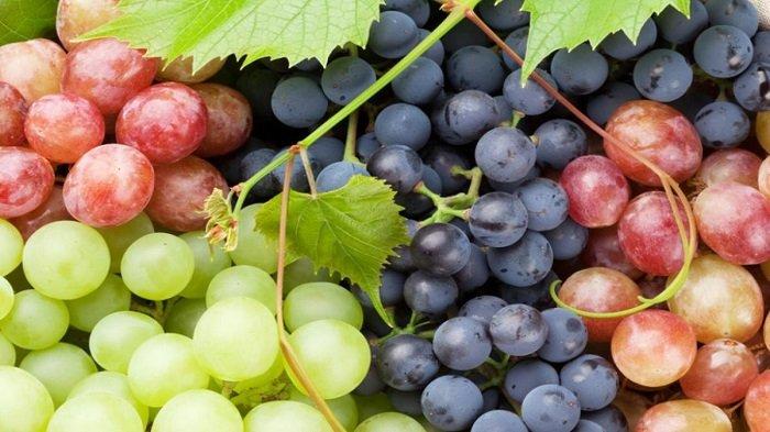 drhealthbenefitscom-via-tribunternate-buah-anggur.jpg