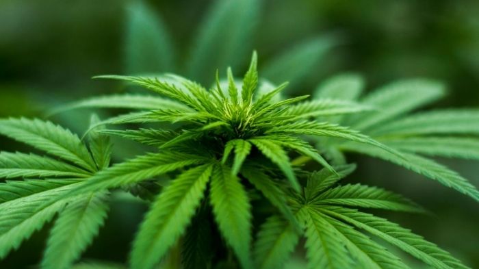 Drummer J-Rocks dan 3 Orang Lainnya Ditangkap karena Narkoba, Begini Penjelasan Singkat Polisi