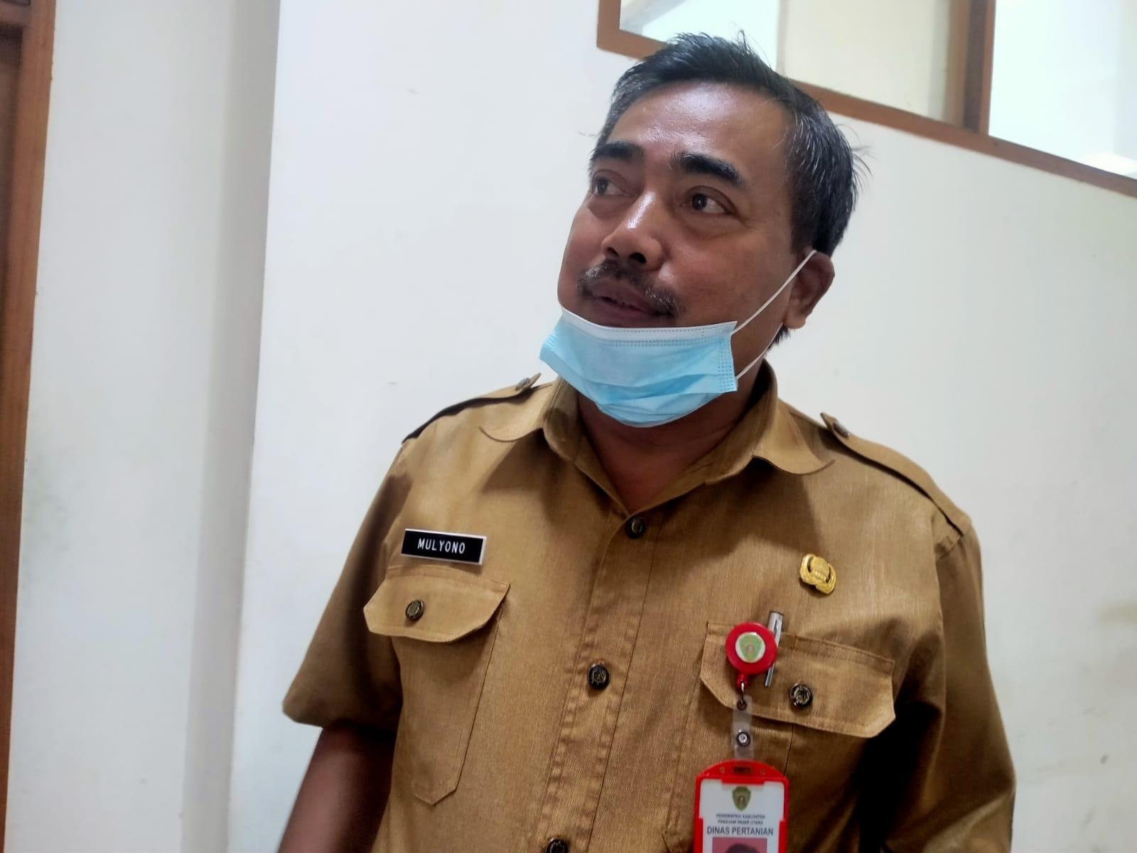 Ini Dua Daerah di Penajam Paser Utara yang Rawan Terjadi Kebakaran Lahan