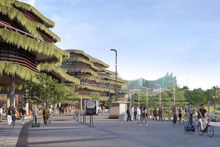 3 Strategi Wujudkan 65 Persen Hutan di IKN Nusantara, Susun Forest Command Center