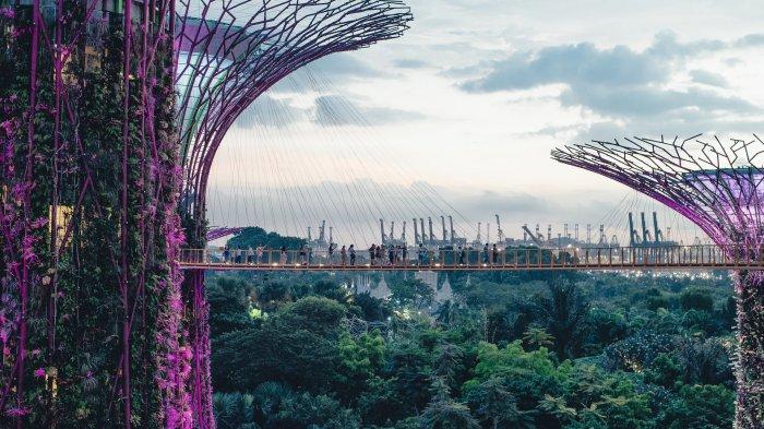 foto-oleh-annie-spratt-di-unsplash-supertree-grove-gardens-by-the-bay-singapura.jpg