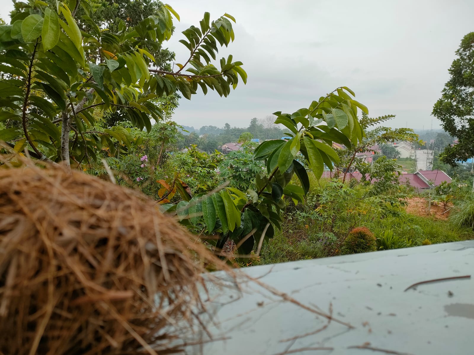 Cuaca Balikpapan Hari Ini, Kamis 28 Juli 2022, Malam akan Berawan, Pagi Gala Puncak Diguyur Hujan