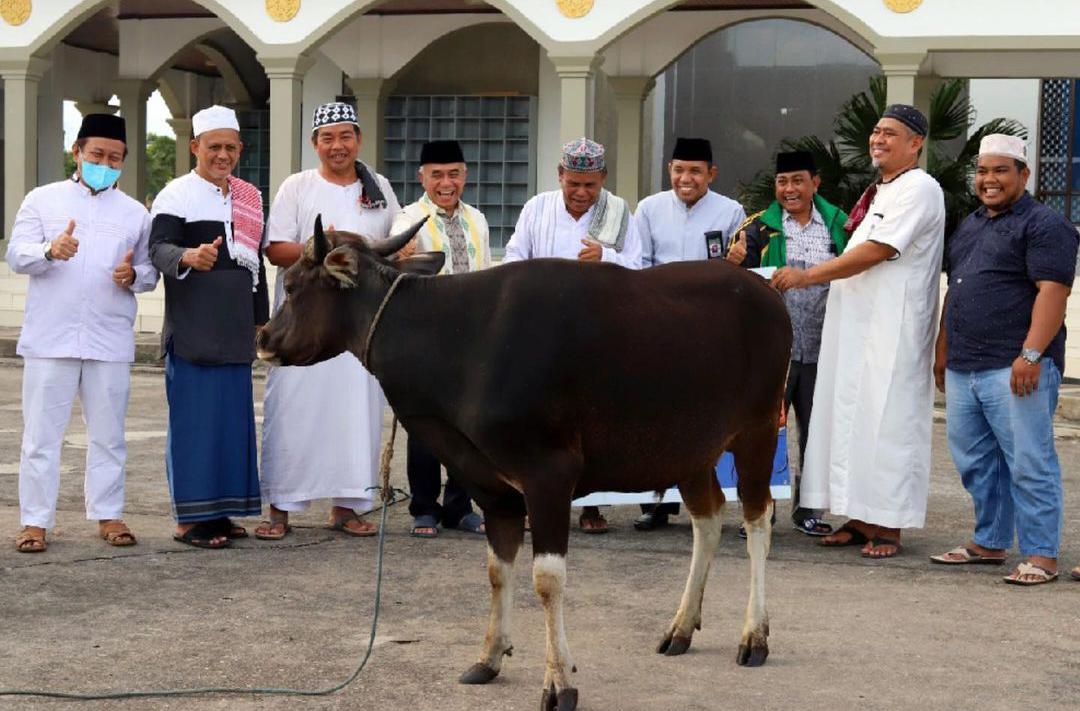 hari-raya-kurban-tahun-ini-dihantui-oleh-kasus-penyakit-mulut-dan-kuku-pmk.jpg