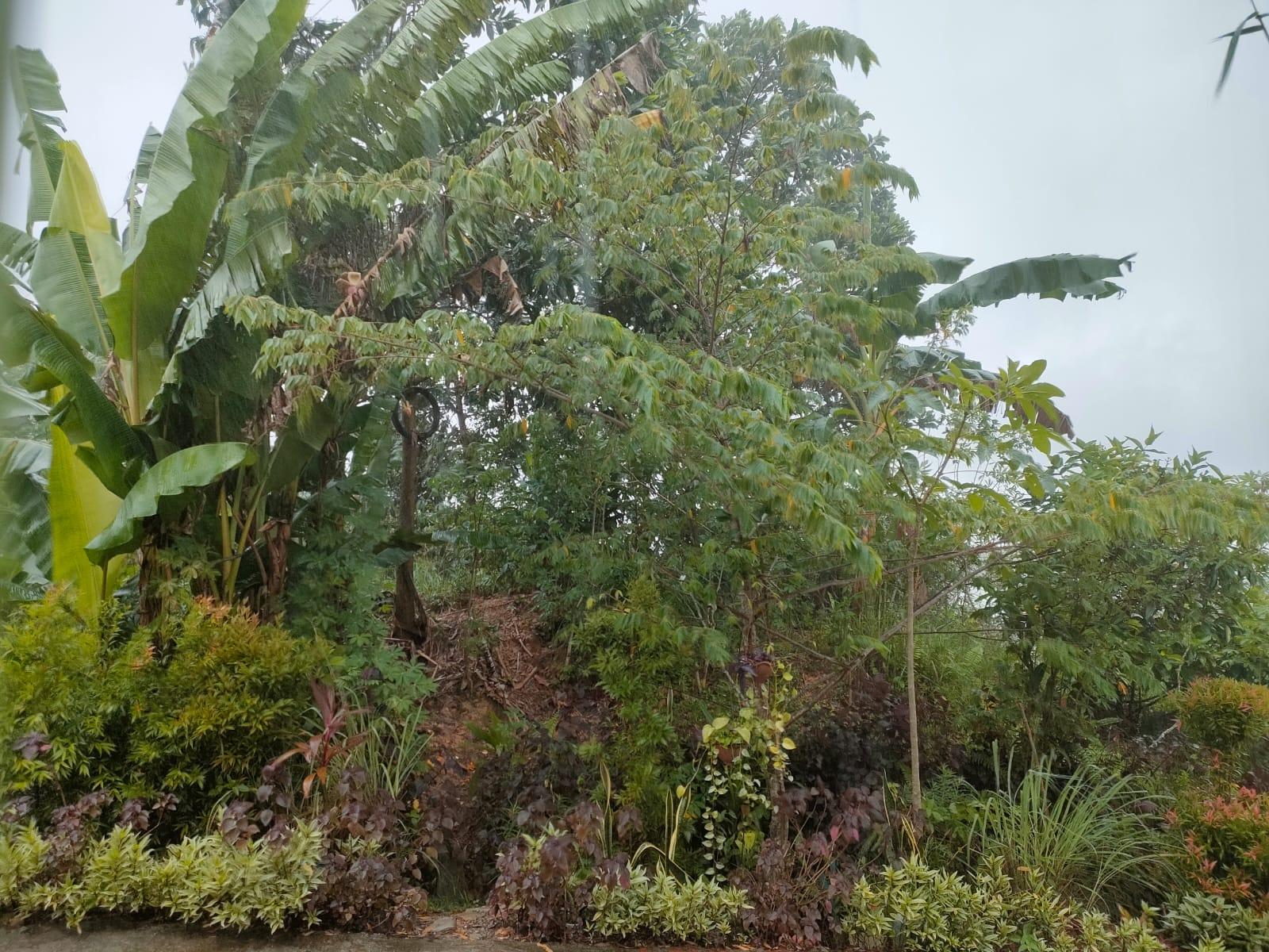 Cuaca Balikpapan Hari Ini, Hujan Deras Turun, Tengah Malam Ada Disertai Petir
