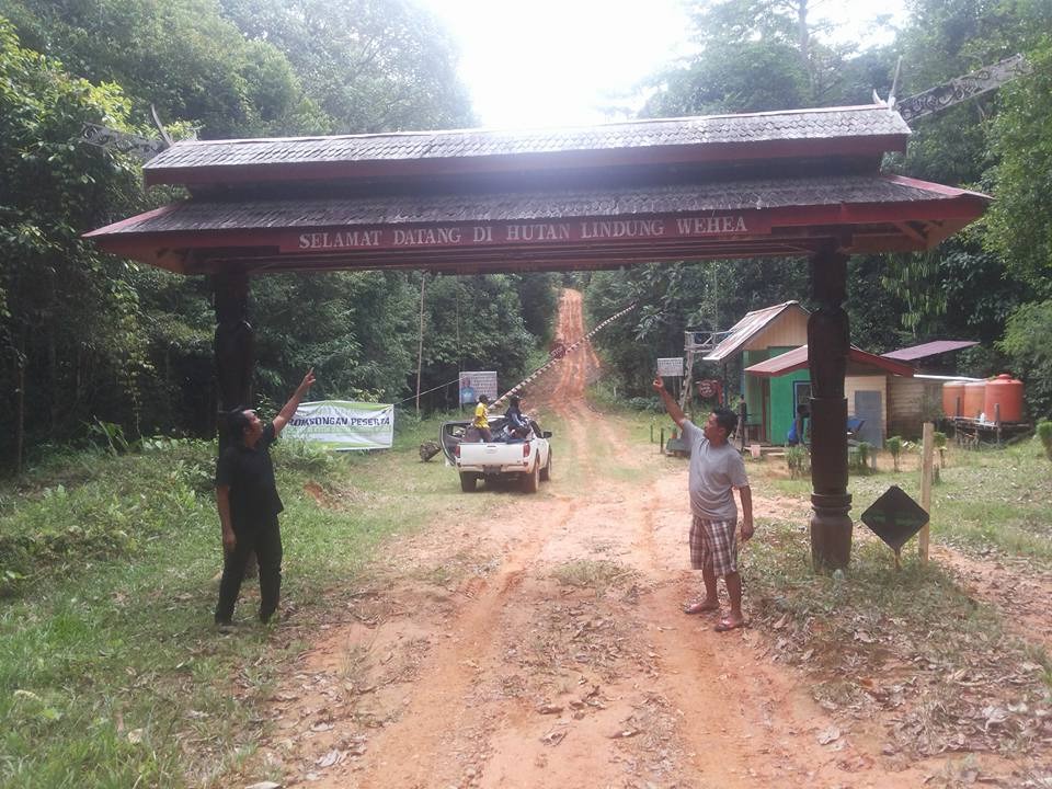 hutan-wehea-di-desa-nehas-liah-bing-kecamatan-muara-wahau.jpg