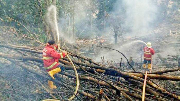 Cuaca Terik di Samarinda dalam Beberapa Hari Terakhir, Waspada Ancaman Kebakaran Lahan