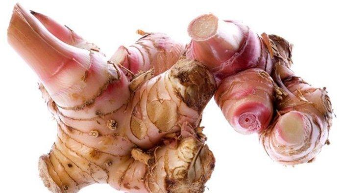 7 Manfaat Nutrisi Tanaman Lengkuas Bagi Kesehatan, Dapat Mendukung Kesehatan Otak