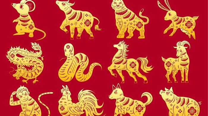 Peruntungan Shio Hari Ini Jumat 8 Januari 2021, Bagaimana Keberuntungan Shio Ayam, Macan & Kambing?
