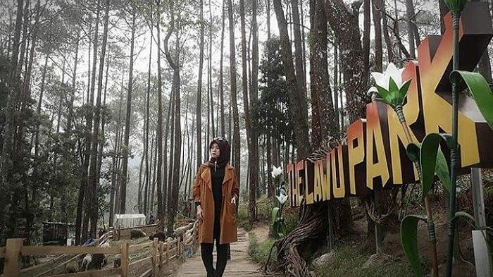 Cocok untuk Liburan Tahun Baru 2021, Ini Harga Tiket Masuk dan Jam Operasional The Lawu Park