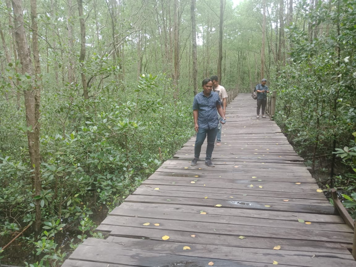 VIDEO - Rusak Parah, Jembatan Mangrove di PPU tak Bisa Diperbaiki