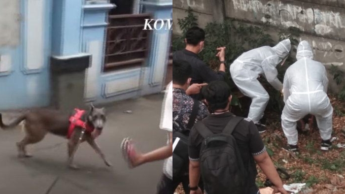 Turunkan Anjing Pelacak, Ini Temuan Polisi Terkait Pembunuhan Editor Metro TV Yodi Prabowo
