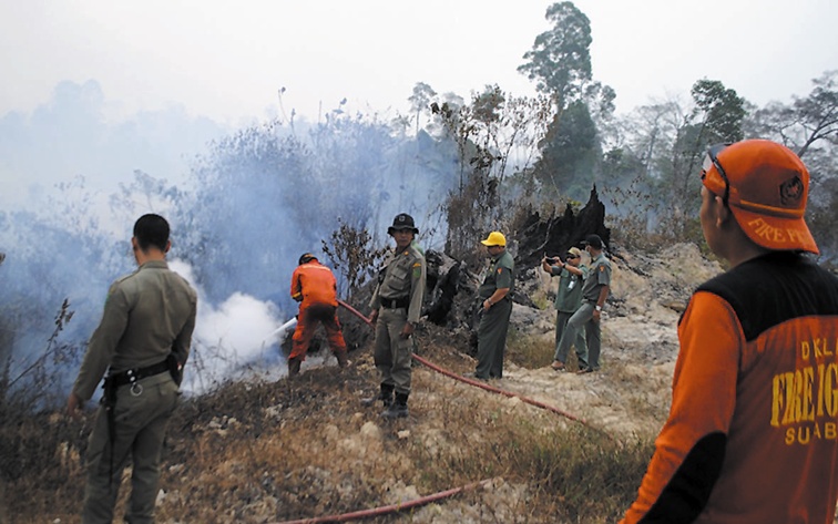 kebakaran-hutan-tg-batu_20150923_114617.jpg
