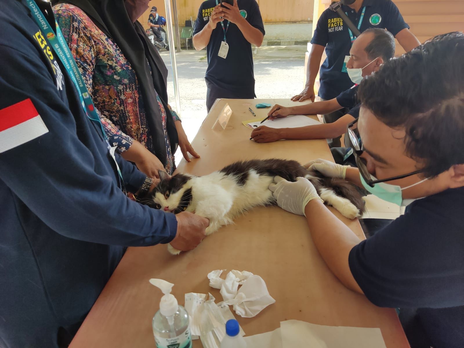 kegiatan-vaksinasi-rabies-pada-hewan-peliharaan-kucing-milik-masyarakat-beberapa-hari-lalu.jpg