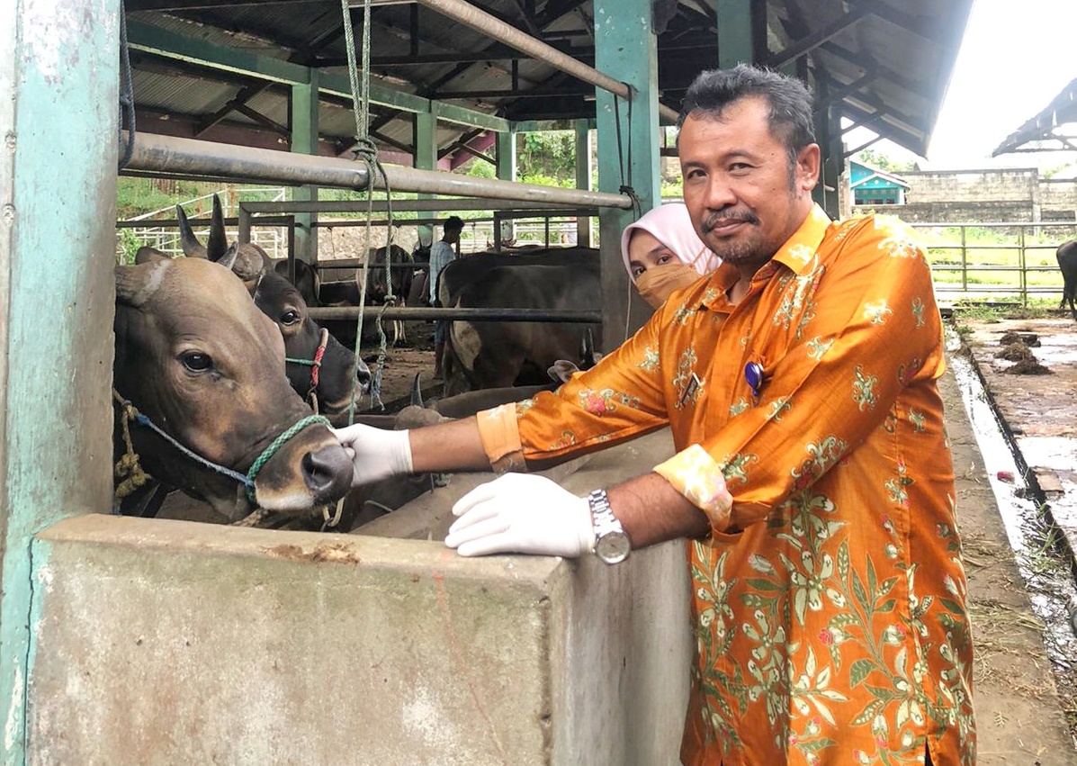 Sikap Kepala RPH Balikpapan soal Wabah PMK Jelang Idul Adha 1443 H