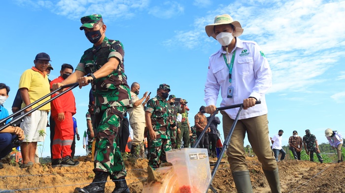 kodam-vi-mulawarman-dan-pt-indoditas-duta-raya-saat-melaksanakan-penanaman-awal-jagung.jpg