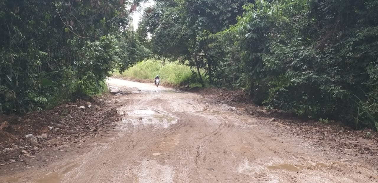 Infrastruktur Jalan yang Rusak Jadi Kendala Peningkatan Sektor Pertanian di Kutai Barat