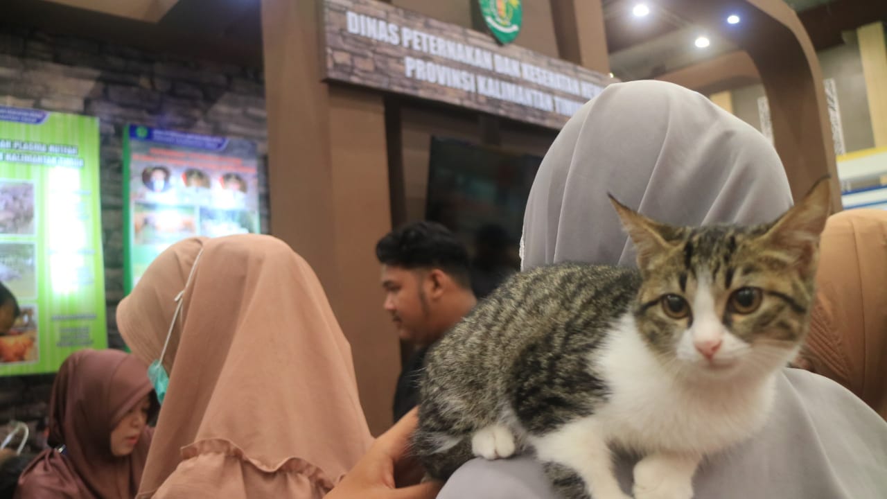 Sudah 200 Orang di Kutai Kartanegara Kena Gigitan Hewan Positif Rabies, Tidak Ada yang Meninggal
