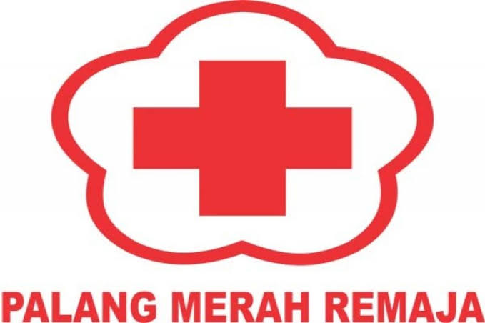 logo-pmr-okkk.jpg