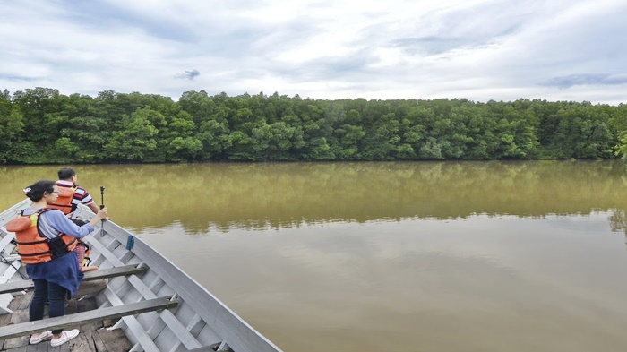 mangrove-graha-indah-bagus-asri.jpg