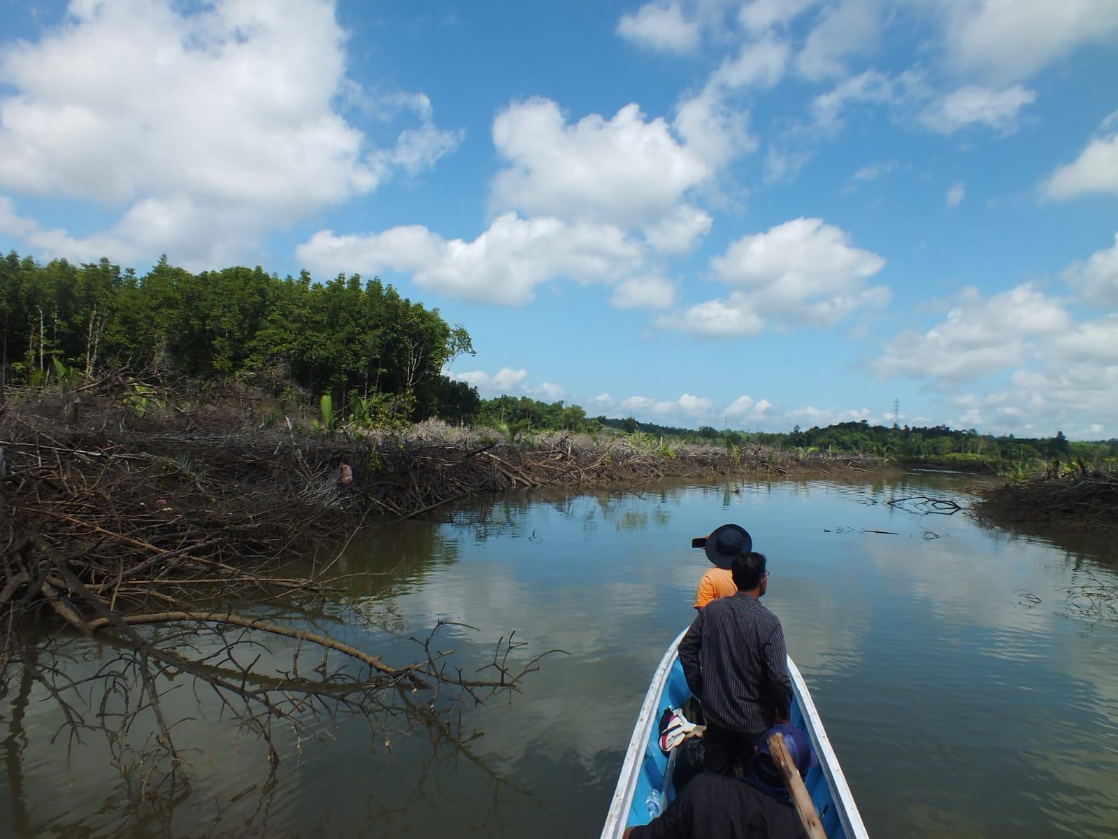 mangrove-rusak-di-bpn.jpg
