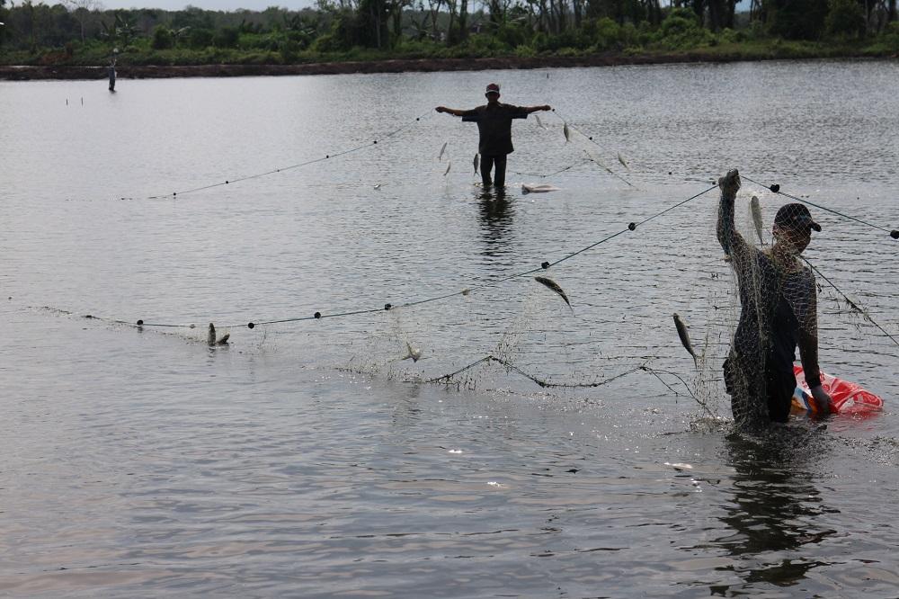 3 Program Bantuan untuk Nelayan dan Pembudidaya, Persembahan DKP Kutai Timur