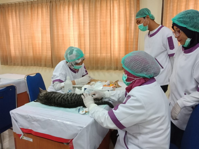 5 Klinik Praktek Dokter Hewan di Balikpapan, Lengkap dengan Nomor Teleponnya