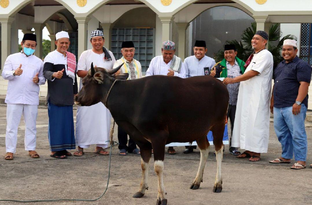 Perayaan Idul Adha di Kutai Barat, Pemkab Kubar Sumbang 40 Ekor Sapi Kurban