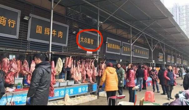 Terjawab Sudah Asal Usul Virus Corona Sebenarnya dan Awal Kemunculannya? WHO Temukan Petunjuk Baru