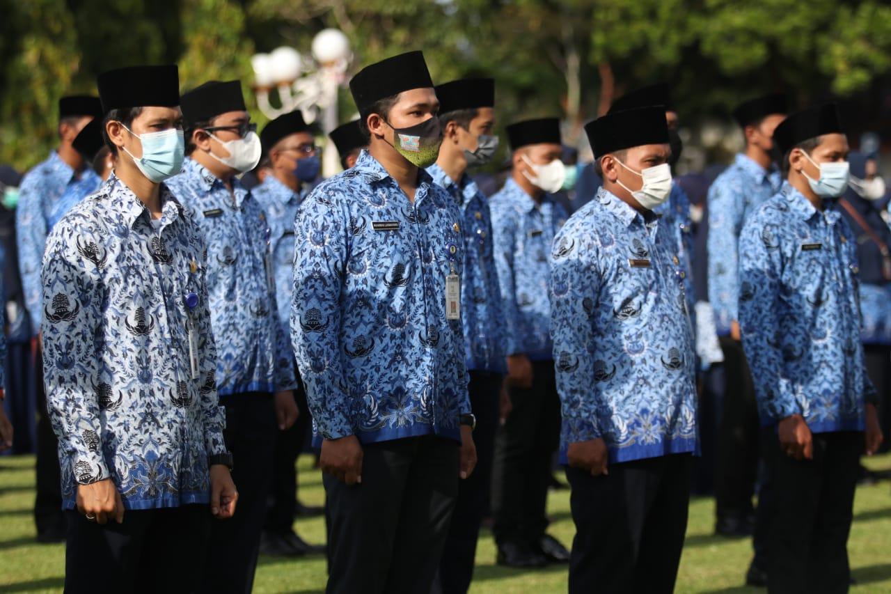 Inilah 13 Jurusan Paling Berpeluang Lolos di Seleksi CPNS 2023, Salah Satunya Hukum