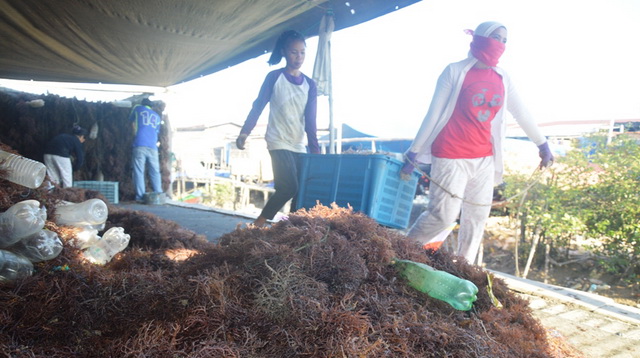 Setelah Disandera, Pemilik LCT Minta Perda Zonaisasi