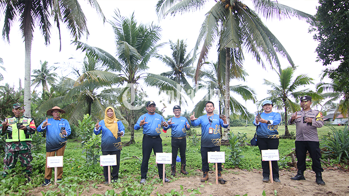 FOTO-FOTO: Hari Lingkungan Hidup Sedunia di PPU, Tanam Mangrove dan Bersih-bersih Pantai Corong - peringati-hari-lingkungan-hidup-sedunia-tanam-bibit-mangrove-dan-bersih-pantai-corong_01.jpg