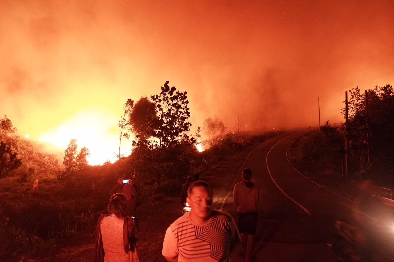 peristiwa-kebakaran-hutan-di-kabupaten-berau-2.jpg