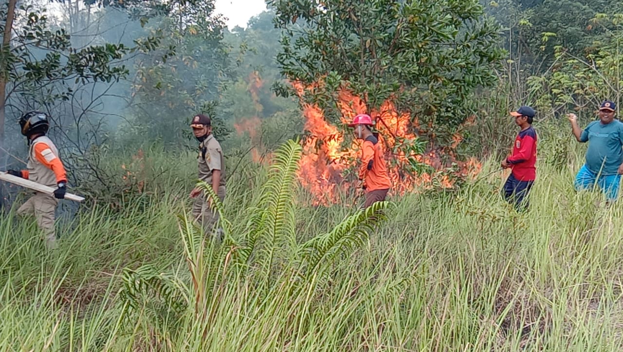 Cuaca tak Menentu, Picu Kebakaran Lahan di Samarinda, Disdamkar Imbau Warga Waspada