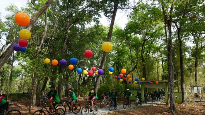 Hutan Kekinian dengan Suasana Tenang di Jogja, Tahura Bunder Gunung Kidul, Ini Wahana yang Tersedia