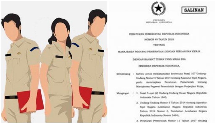 Honorer Guru/Kesehatan/Penyuluh di Atas 35 Tahun Dikabarkan Diangkat PNS Tanpa Tes, Begini Kata BKN