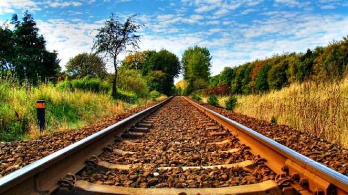 Efek Pembangunan IKN Nusantara di Kaltim, Pemerintah Bangun Rel Kereta 2.428 Km di Pulau Kalimantan