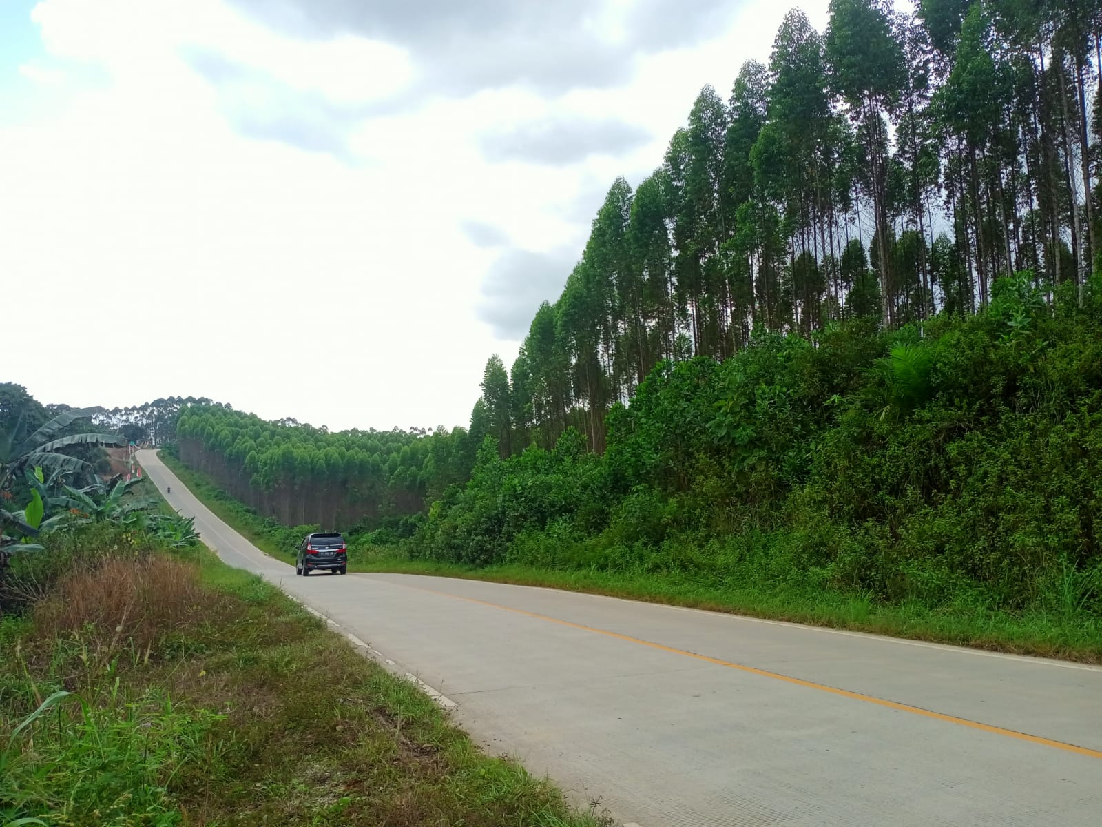 Dukung IKN Nusantara di Kaltim, Ormas Dayak Seluruh Kalimantan Buat Petisi Berisi 9 Poin