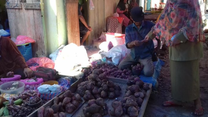 Bukan Jahe, Peneliti Temukan Obat Baru Penangkal Corona, Ternyata Banyak di Pasar dan Harganya Murah