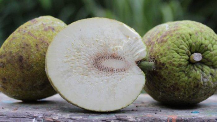 Tidak Disangka, Inilah Manfaat Buah Sukun Bagi Kesehatan Tubuh, Salah Satunya Mengontrol Kolesterol