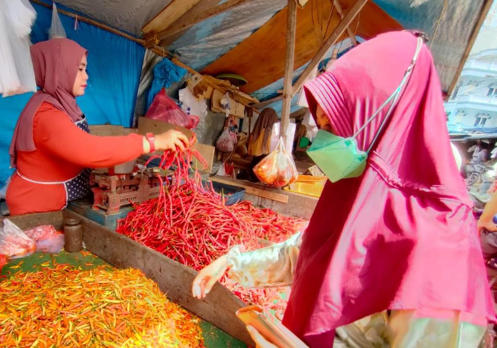 Update Covid-19 di Penajam Paser Utara Hari Ini, 2 Pasien Positif Selesai Isolasi