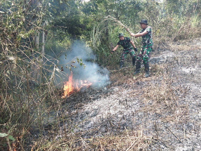Berbekal Ember dan Dahan Pohon, Begini Cara Prajurit TNI di Perbatasan Padamkan Karhutla