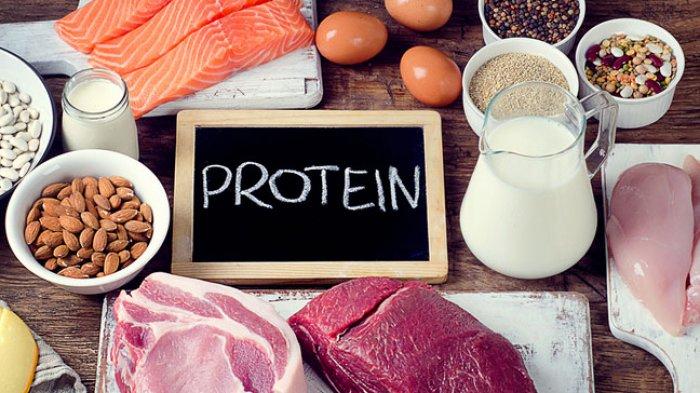 vixendailycom-ilustrasi-makanan-kaya-protein.jpg