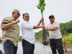 10022025bibit_mangrovejpeg.jpg