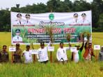 16092025_Panen_Padi_Inpari_32jpg.jpg